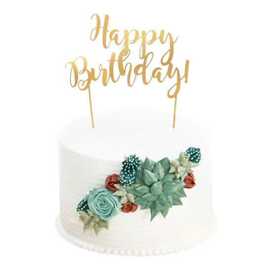 Succulent Cake