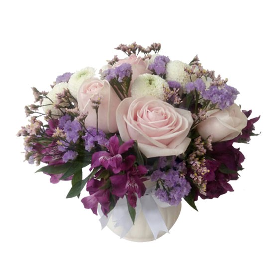 The Violet 